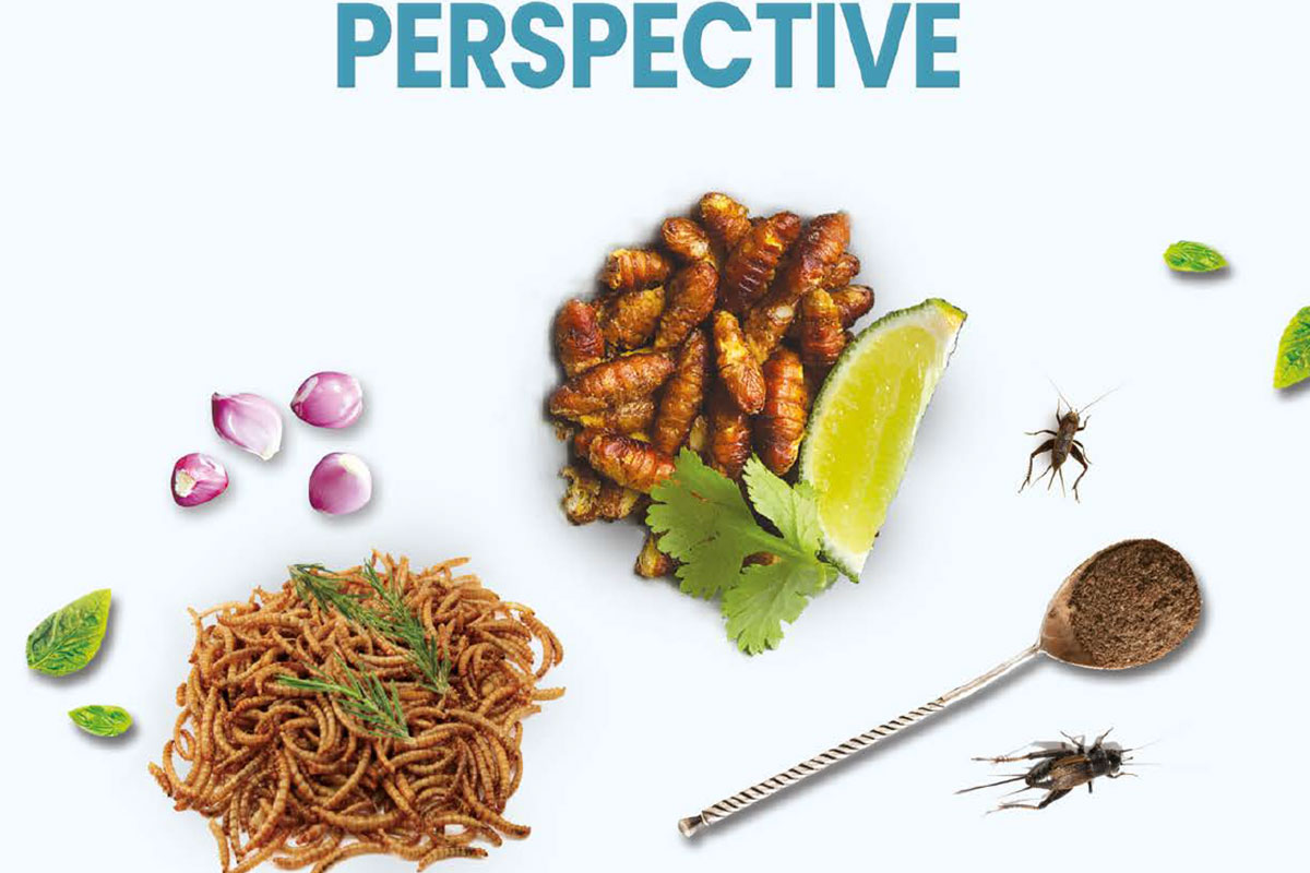 FAO 2013 - EDIBLE INSECTS